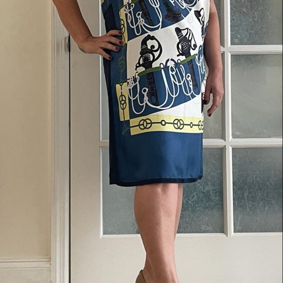 Silk Dress - Picture 8 of 16